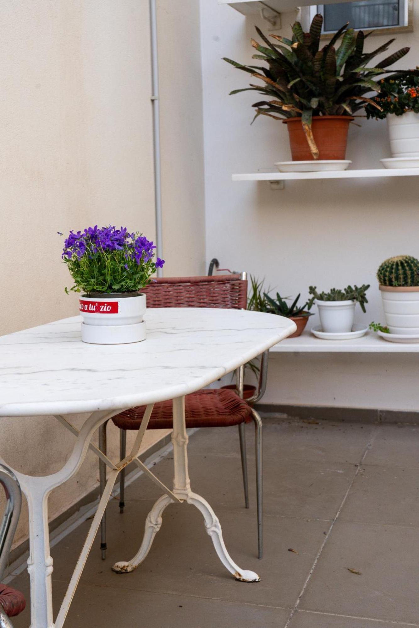 Acasha Loft * Vittoria